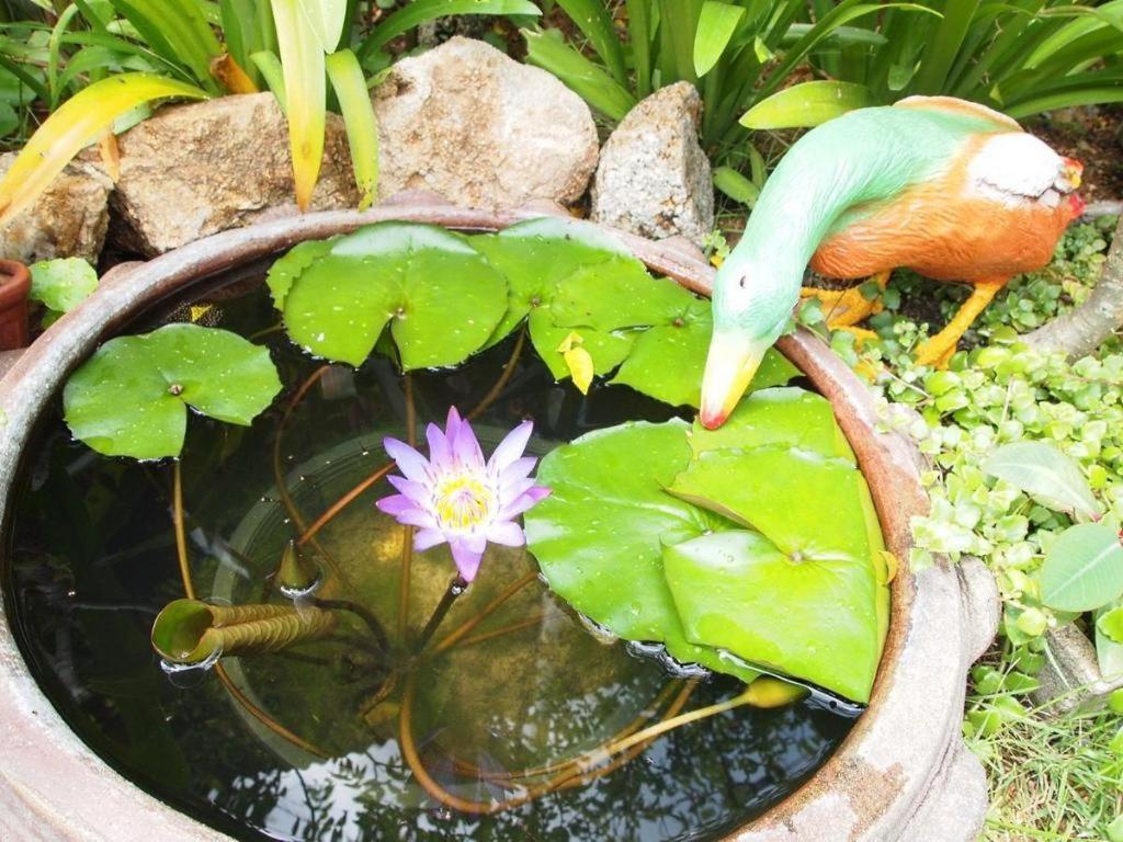 Baan Sala Lung Dam Hotel Бофут Екстериор снимка