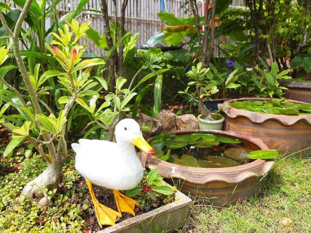 Baan Sala Lung Dam Hotel Бофут Екстериор снимка